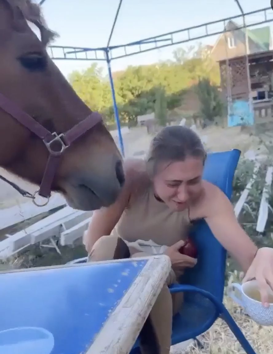 TRENDING NOW: Horse bullies woman for her apple | iNFOnews.ca TRENDING NOW: Horse bullies woman for her apple | iNFOnews.ca