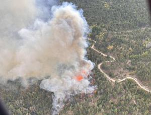 A wildfire near Peachland as seen from the air.