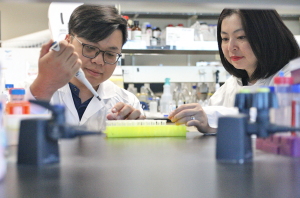 Two scientists pipetting something into test tubes.