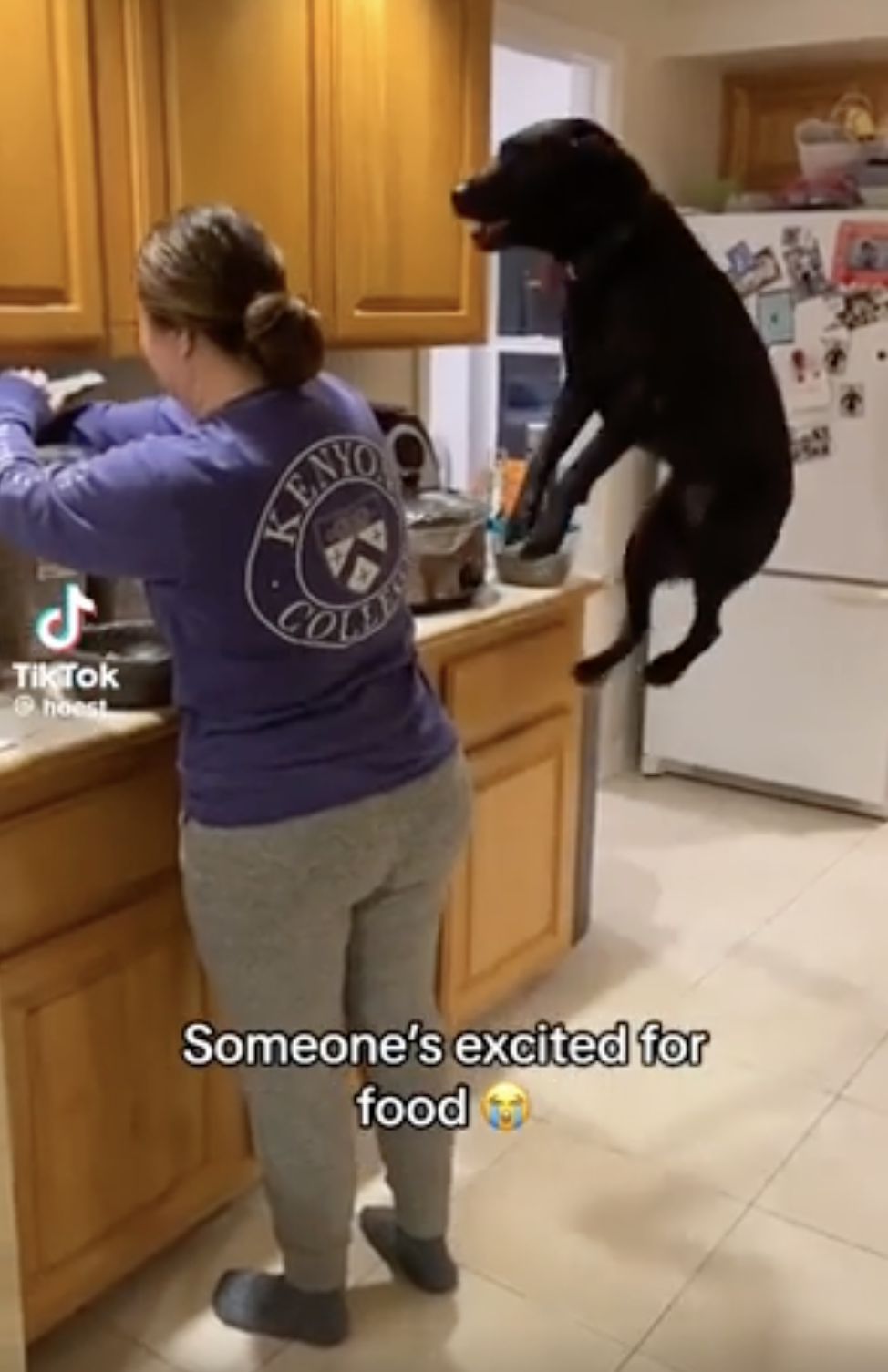 TRENDING NOW: Doggo excited for suppertime | iNFOnews.ca TRENDING NOW: Doggo excited for suppertime | iNFOnews.ca