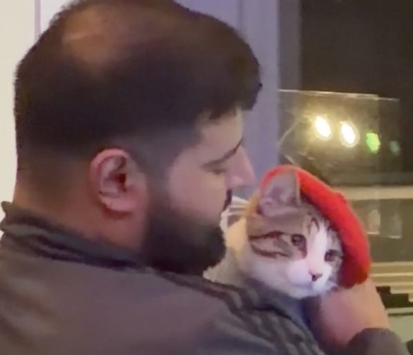 A cat wearing a beret.