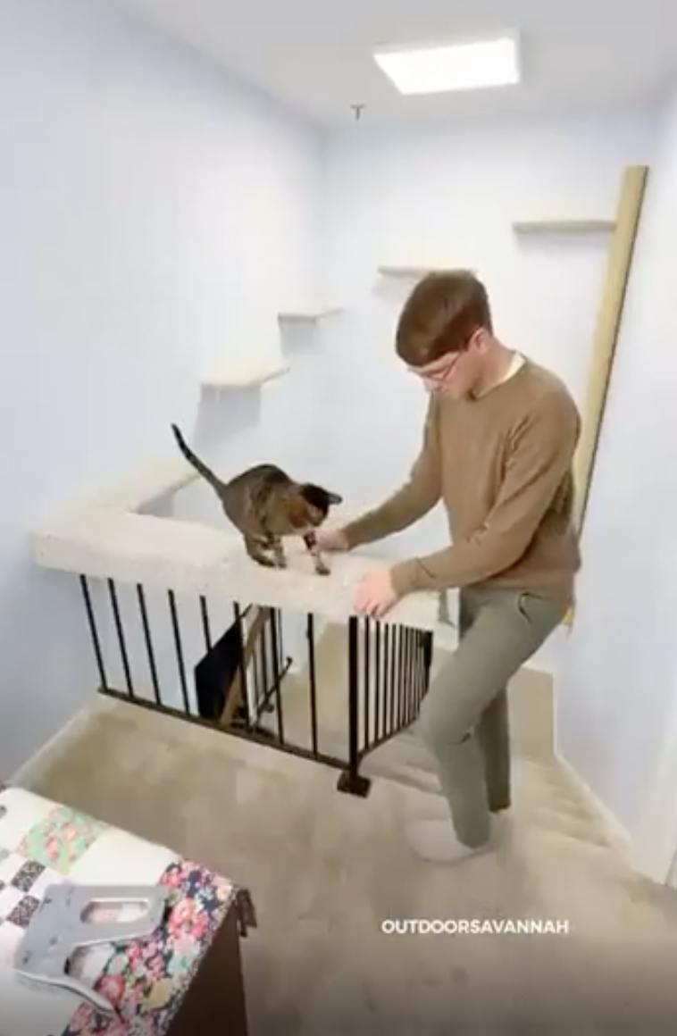 TRENDING NOW: Guy customized his house for his cat | iNFOnews.ca TRENDING NOW: Guy customized his house for his cat | iNFOnews.ca