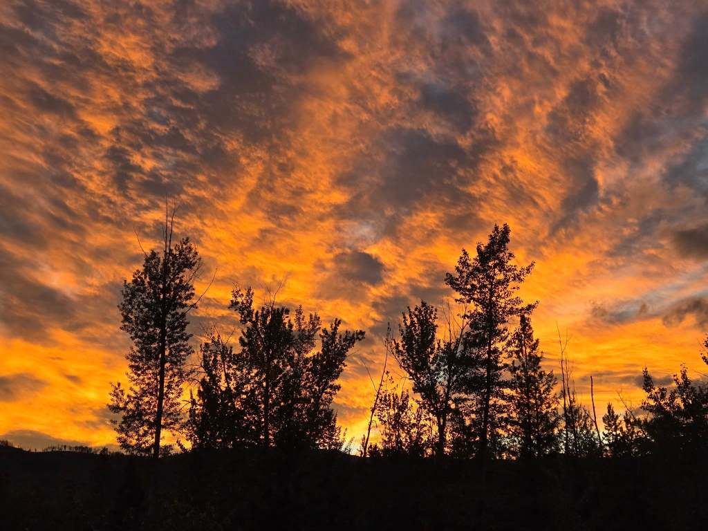 iN PHOTOS: September silhouettes captured in Kamloops, Okanagan | iNFOnews.ca iN PHOTOS: September silhouettes captured in Kamloops, Okanagan | iNFOnews.ca