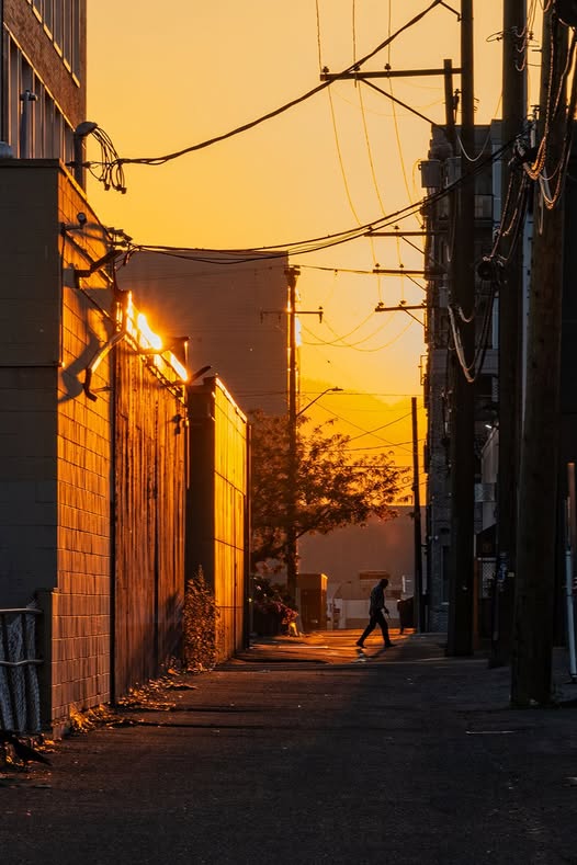 iN PHOTOS: September silhouettes captured in Kamloops, Okanagan | iNFOnews.ca iN PHOTOS: September silhouettes captured in Kamloops, Okanagan | iNFOnews.ca