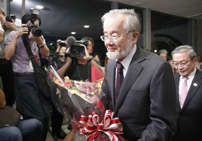 The Latest: Ohsumi hopes scientists will continue his work | iNFOnews.ca