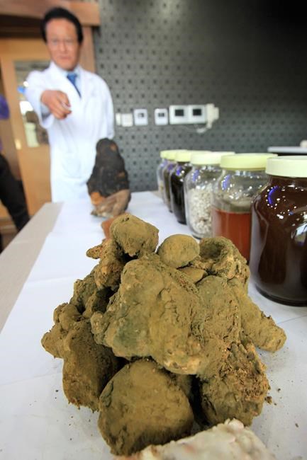 How mushrooms fueled a scientist's flight out of North Korea | iNFOnews.ca