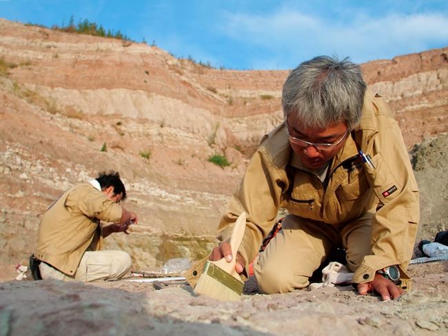 China building boom uncovers buried dinosaurs, makes a star | iNFOnews.ca
