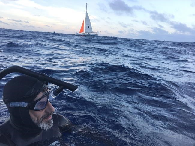 Storms force swimmer to suspend attempt to cross Pacific | iNFOnews.ca