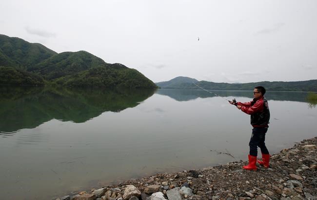 South Korea's latest online celebrities: Stray cats eating | iNFOnews.ca