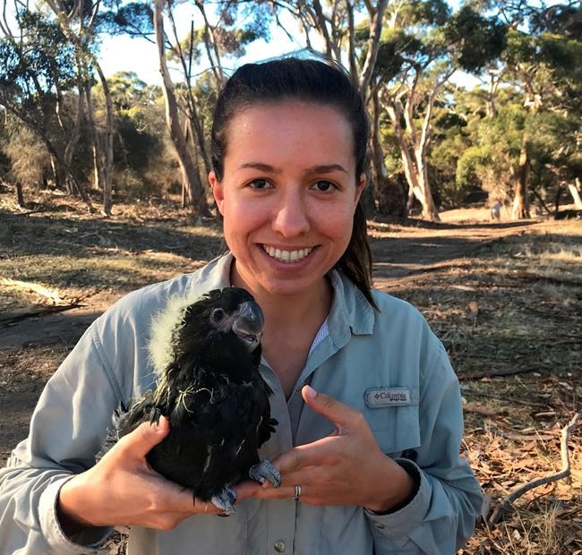 Wildfires threaten unique critters on Australian 'Galapagos' | iNFOnews.ca