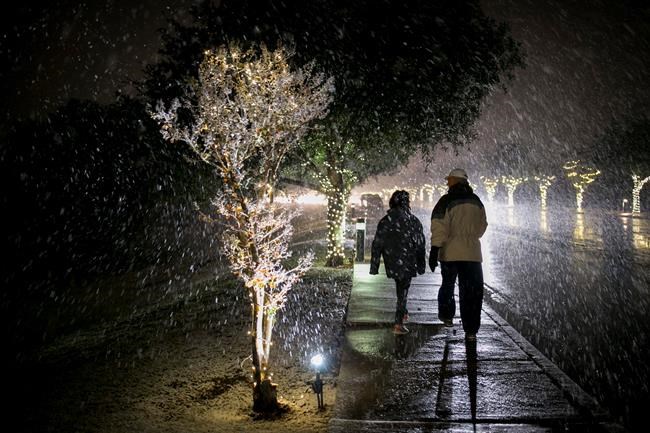 South Texas gets rare snowfall | iNFOnews.ca