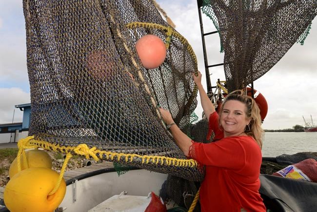 New rules planned to keep sea turtles from shrimp net deaths | iNFOnews.ca