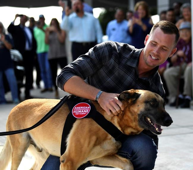 Former military trainer, retired dog reunited in San Antonio | iNFOnews.ca