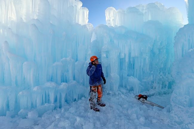 Snow on saguaros: Desert cities in US Southwest see freeze | iNFOnews.ca