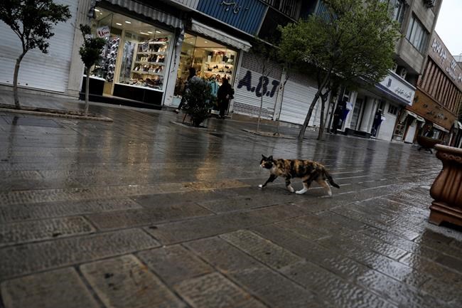 Virus now in Gaza, Syria, raising fears in vulnerable areas | iNFOnews.ca