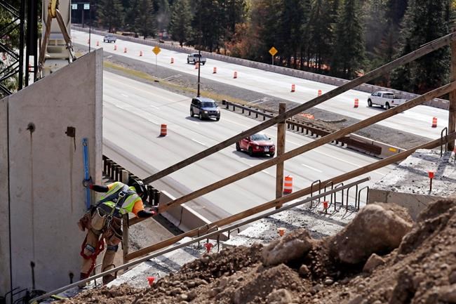 Washington state builds bridge to keep wildlife off highway | iNFOnews.ca