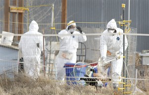 State declares emergency poultry quarantine in southeast Washington to contain avian flu | iNFOnews.ca CP31399396