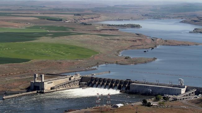 Environmental groups want work halted on Snake River dams | iNFOnews.ca Environmental groups want work halted on Snake River dams | iNFOnews.ca