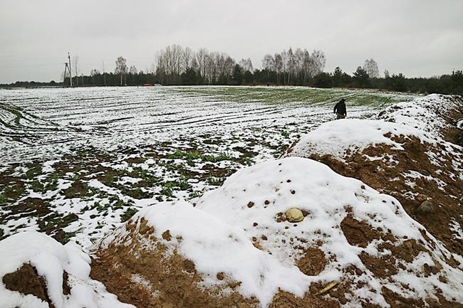 Poland: Jewish community dismayed by digging at old cemetery | iNFOnews.ca