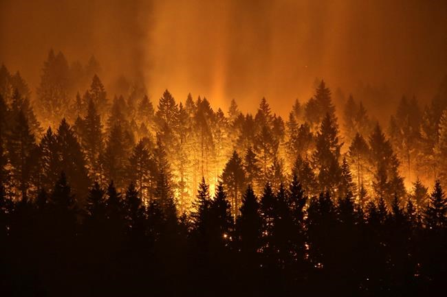 Forest Service spends record $2B battling forest fires | iNFOnews.ca Forest Service spends record $2B battling forest fires | iNFOnews.ca