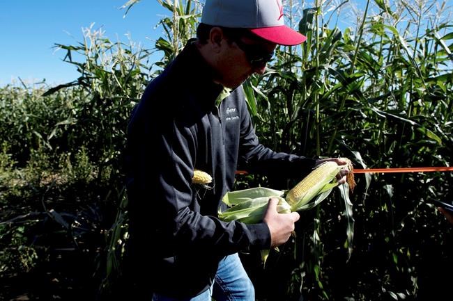 US producer prices rose 0.4 per cent in September | iNFOnews.ca CP646522907