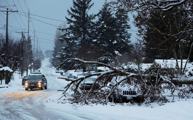 More storms in store for snow-socked Pacific Northwest | iNFOnews.ca