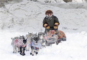 Yukon Quest mushers, dogs tackle bitter cold on race to Fairbanks, Alaska | iNFOnews.ca CP31846060
