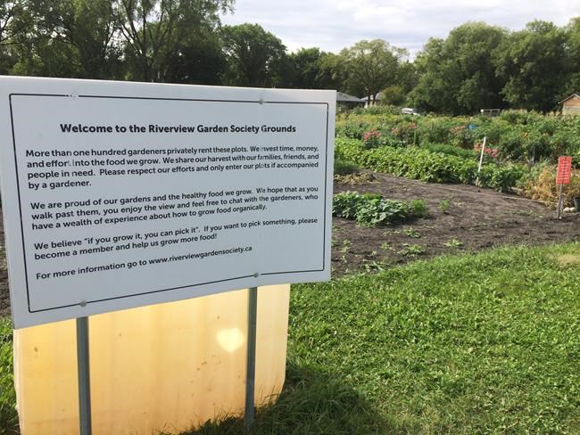 More than a snack: farmers fear produce thieves in Manitoba are well-organized | iNFOnews.ca CP1084937784
