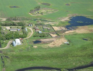 CP28818675