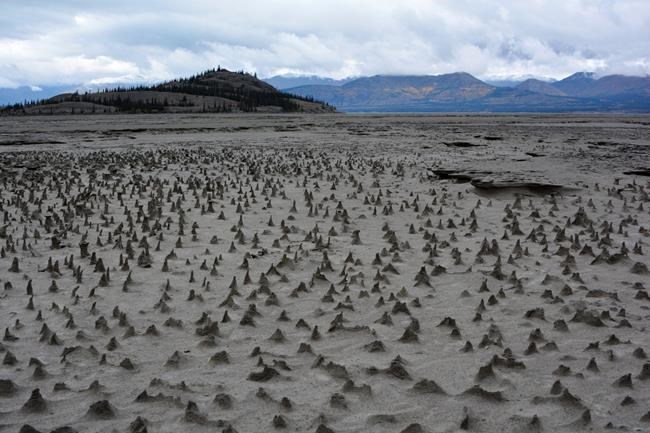 Canadian glacier melt rerouted in rare case of 'river piracy,' scientists say | iNFOnews.ca