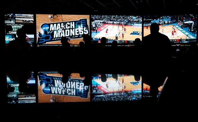 Sanctuary cities could get boost from sports betting ruling | iNFOnews.ca