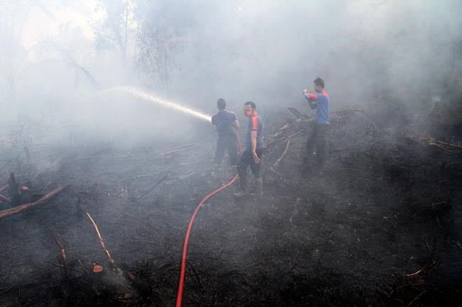 Another El Nino problem: More carbon dioxide in air | iNFOnews.ca