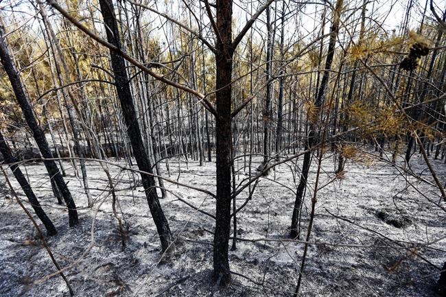 Science report: Who gets hotter, wetter with climate change | iNFOnews.ca