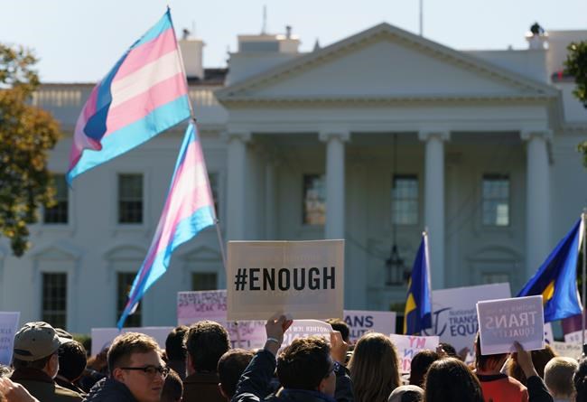 Science Says: Sex and gender aren't the same | iNFOnews.ca Science Says: Sex and gender aren't the same | iNFOnews.ca