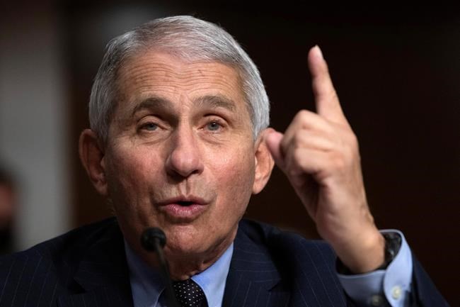 Senate Republicans try to ignore Trump's attacks on Fauci | iNFOnews.ca Senate Republicans try to ignore Trump's attacks on Fauci | iNFOnews.ca