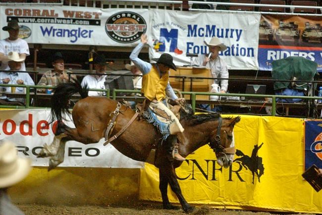 Cowboy turned lawmaker hopes to be South Dakota governor | iNFOnews.ca Cowboy turned lawmaker hopes to be South Dakota governor | iNFOnews.ca