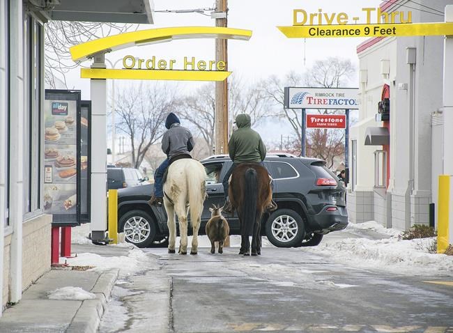 McDonald's drive-thru had some horses, 'E-I-E-I ... whoa!' | iNFOnews.ca McDonald's drive-thru had some horses, 'E-I-E-I ... whoa!' | iNFOnews.ca