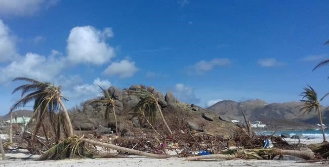 Hurricane Irma exposes racial tensions on smashed St. Martin | iNFOnews.ca Hurricane Irma exposes racial tensions on smashed St. Martin | iNFOnews.ca