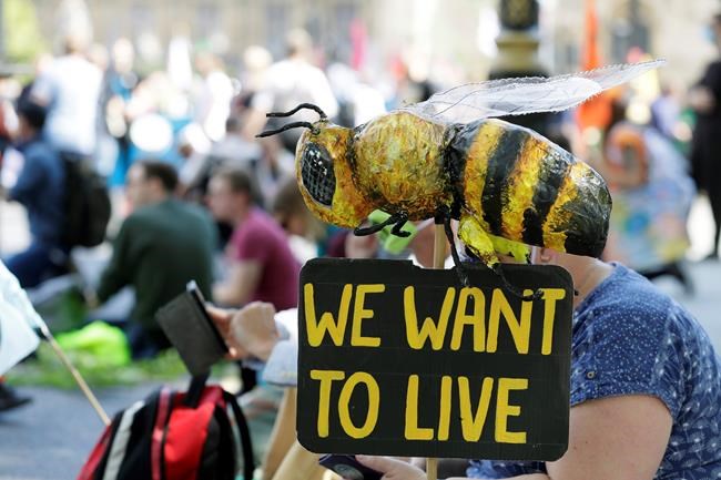 UK climate activists stop traffic near Parliament | iNFOnews.ca