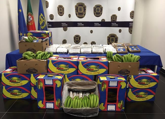 Portuguese police intercept cocaine shipment to Spain | iNFOnews.ca
