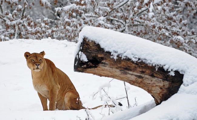 Freezing weather blamed for deaths, road delays in Poland | iNFOnews.ca Freezing weather blamed for deaths, road delays in Poland | iNFOnews.ca