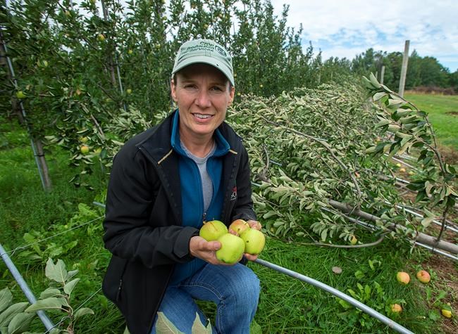 Dorian damage worse than first thought in Nova Scotia's famed Annapolis Valley | iNFOnews.ca