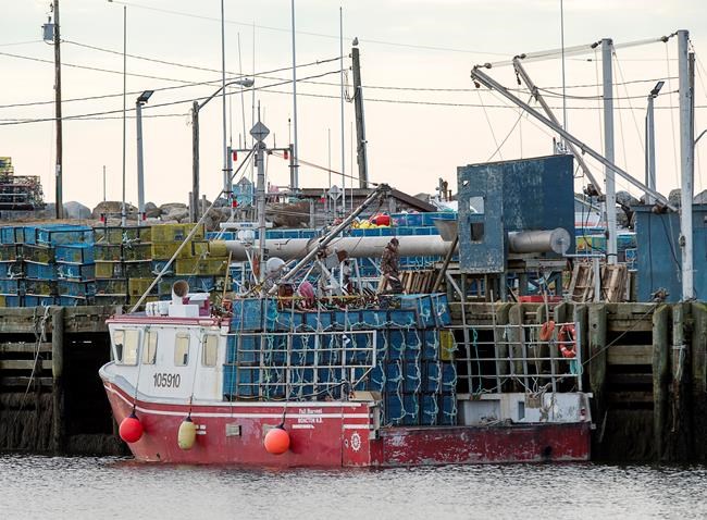 How Donald Trump boosted Nova Scotia's lucrative lobster industry | iNFOnews.ca
