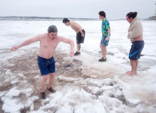 East Coast takes the plunge in polar bear swims | iNFOnews.ca