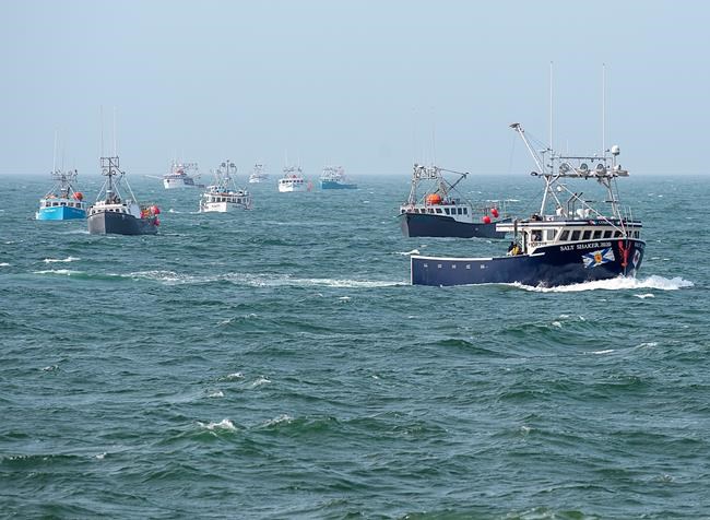 Fishermen say they are removing Indigenous lobster traps in western Nova Scotia | iNFOnews.ca Fishermen say they are removing Indigenous lobster traps in western Nova Scotia | iNFOnews.ca