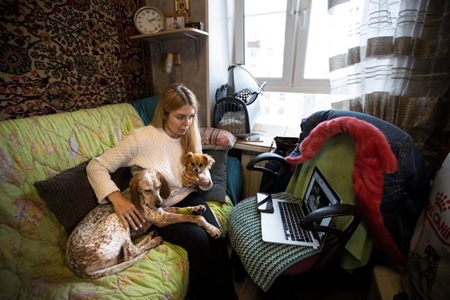 Amid Moscow lockdown, some dogs find new homes and friends | iNFOnews.ca Amid Moscow lockdown, some dogs find new homes and friends | iNFOnews.ca