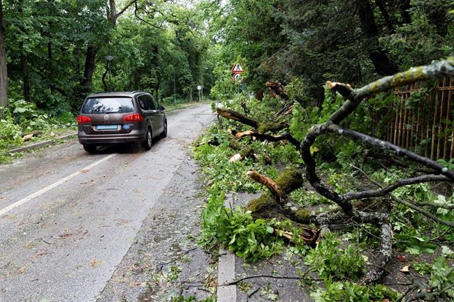 Croatian authorities urge caution during windy weather | iNFOnews.ca CP1963026942