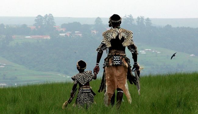 In South Africa, conservationists offer fake leopard hides | iNFOnews.ca