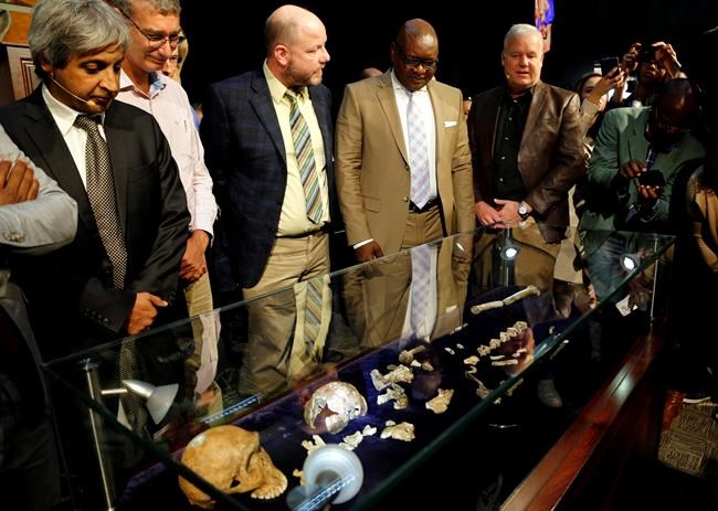 Scientists in South Africa reveal more on human-like species | iNFOnews.ca