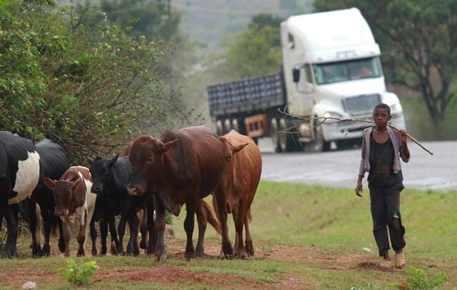 Mozambique's factions talk peace amid conflict | iNFOnews.ca